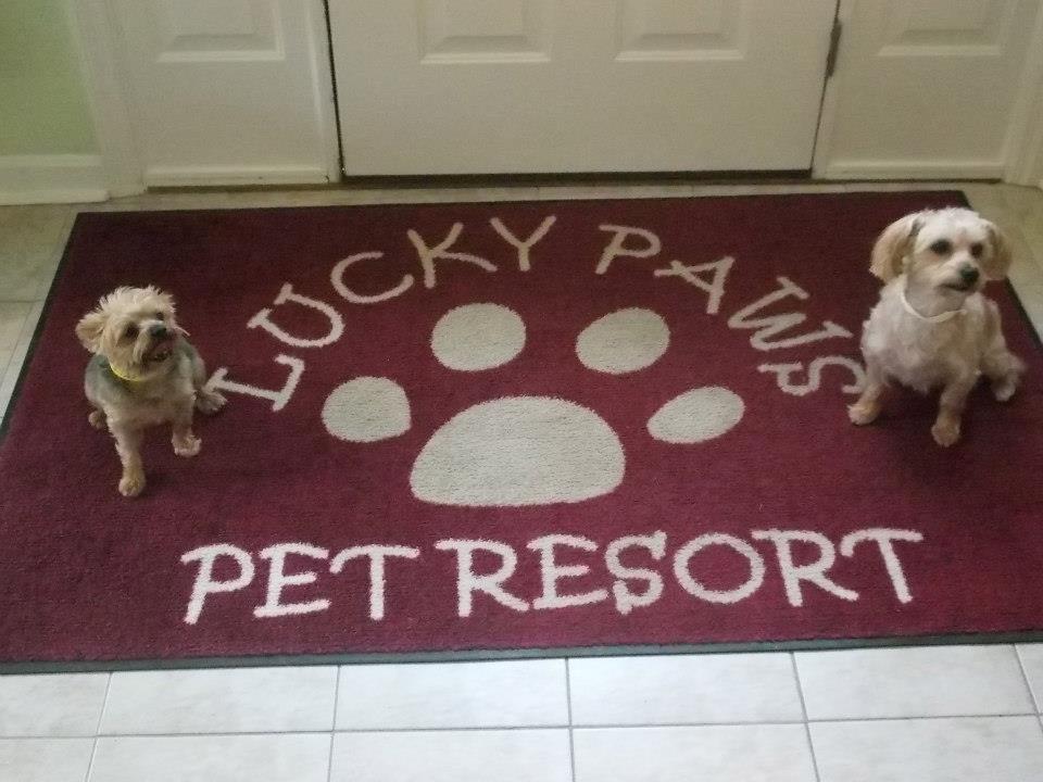 If Your Dog Deserves a VIP Getaway, Lucky Paws Pet Resort Is the Place