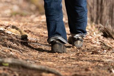 Major Creek Trail