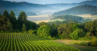 A Journey Through Oregon's Willamette Valley