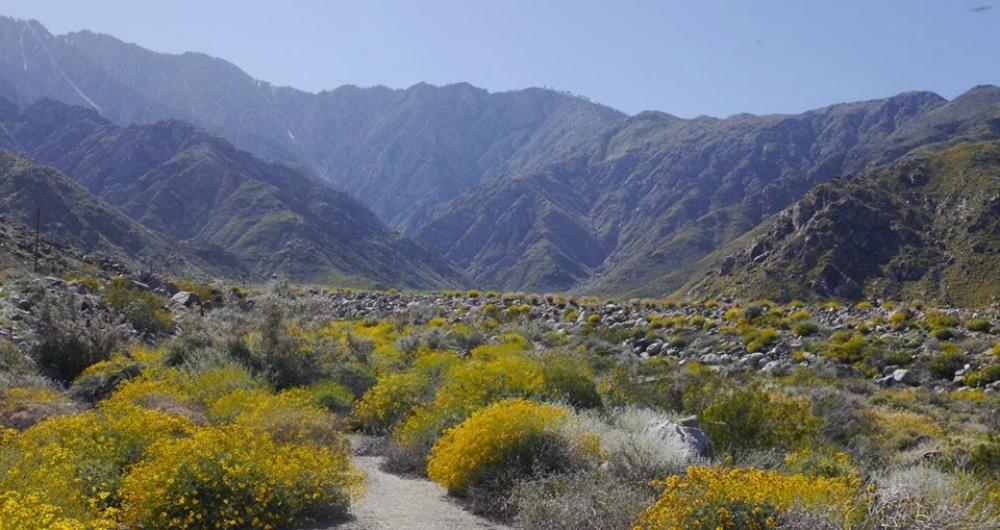 Palm Springs Aerial Tramway