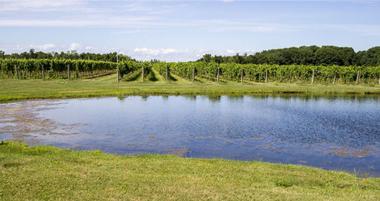 22 Pennsylvania Wineries