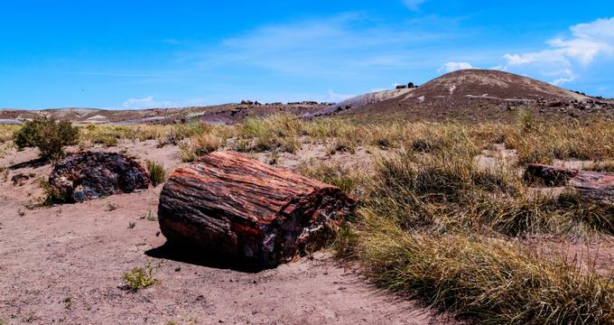 Petrified Forest National Park