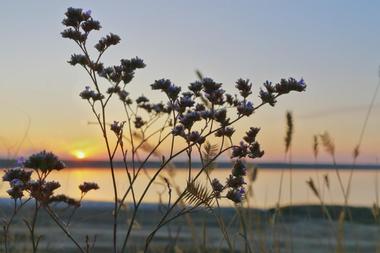 Kerr Lake State Recreation Area