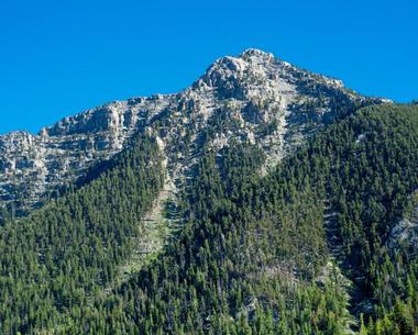 Humboldt-Toiyabe National Forest