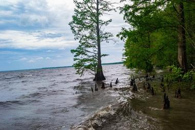 Pettigrew State Park