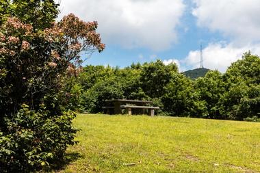 Pisgah National Forest