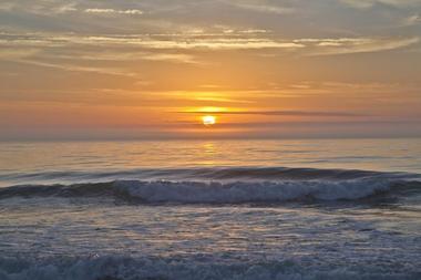 Carolina Beach State Park