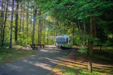 Davidson River Campground