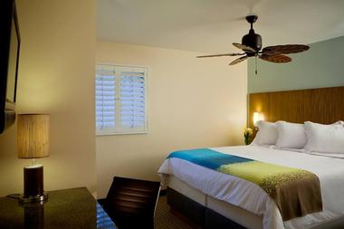 Hotels Near Me: PB Surf Beachside Inn