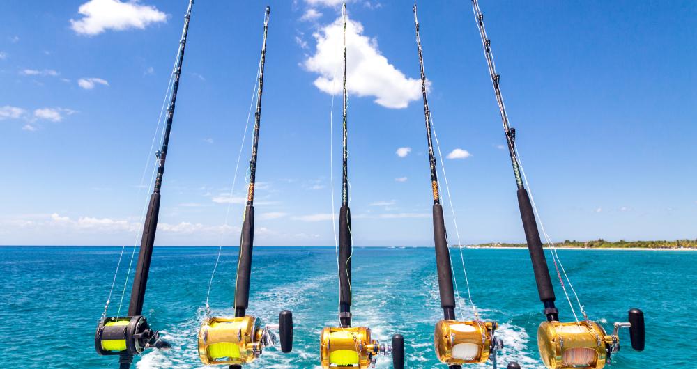 Point Loma Fishing