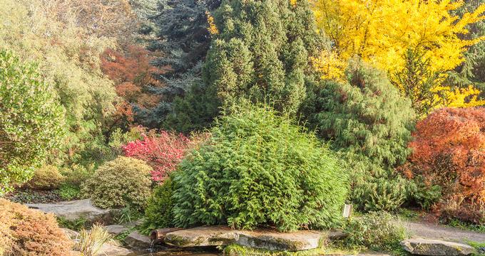 Portland Japanese Garden