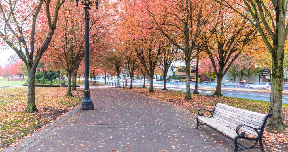 25 Portland Parks