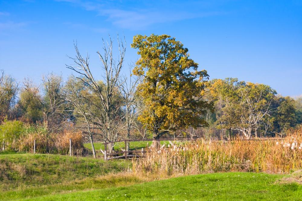 Hortobagy National Park - 2.5 to 3 hours