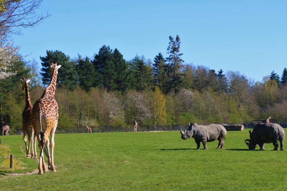 Lolland - Approximately 1.5–2.5 hours by car