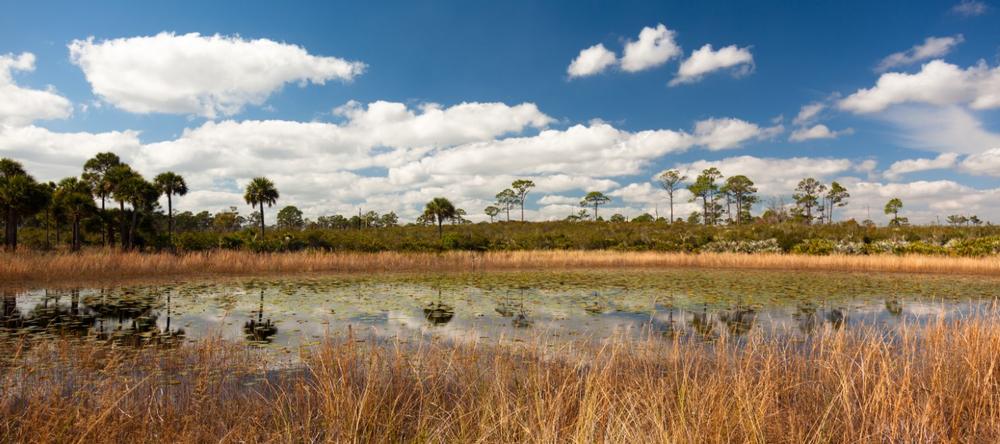Bike on forest trails and paddle scenic waterways with family.