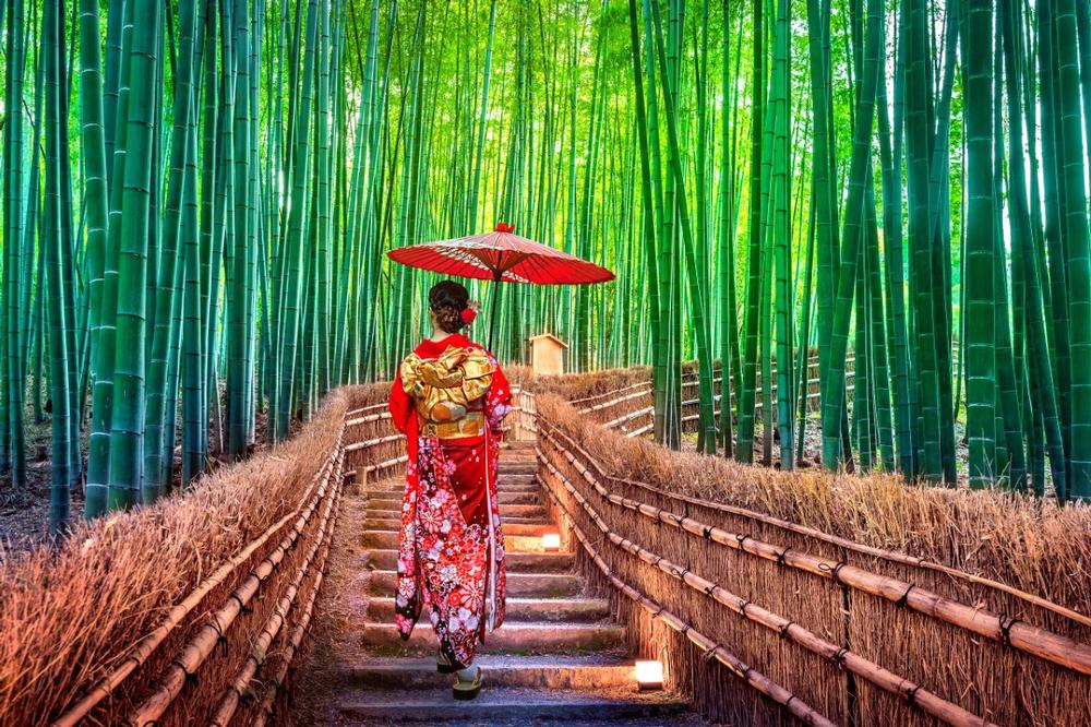 Arashiyama - 30 minutes from central Kyoto