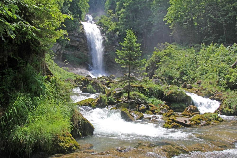Visit  Brienz, a charming lakeside village