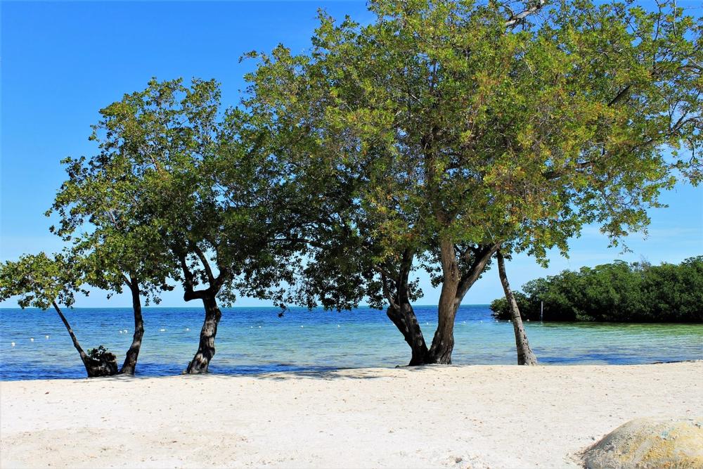 Islamorada - 1 hour and 45 minutes by car