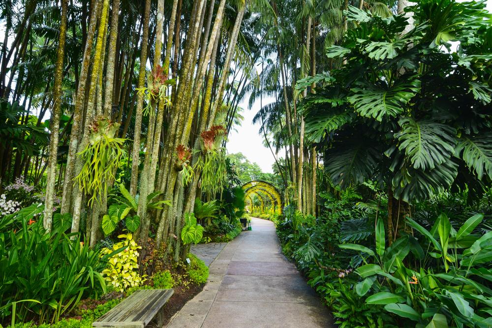 Breathe in Beauty at the National Orchid Garden