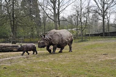 Antwerp Zoo