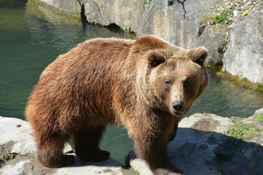 Alpenzoo Innsbruck