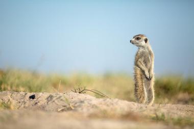 Kgalagadi Transfrontier Park