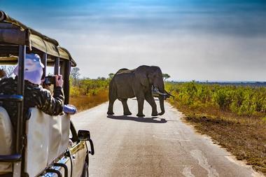 Kruger National Park