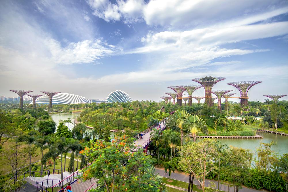 Step Into the Future at Gardens by the Bay