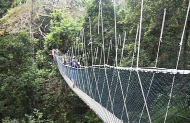 Taman Negara