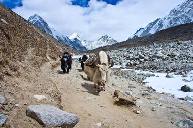 Sagarmatha National Park