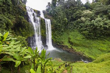 Bolaven Plateau