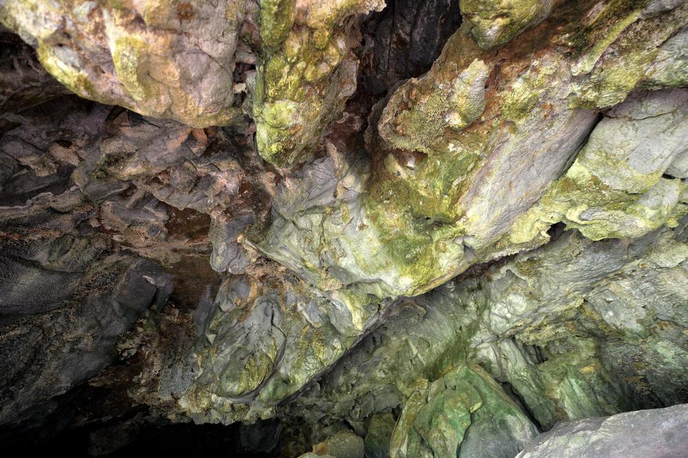 Discover Nature’s Quiet Side at Varahicacos Ecological Reserve