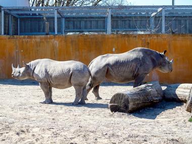 Tallinn Zoo