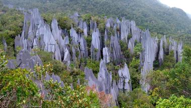 Gunung Mulu National Park