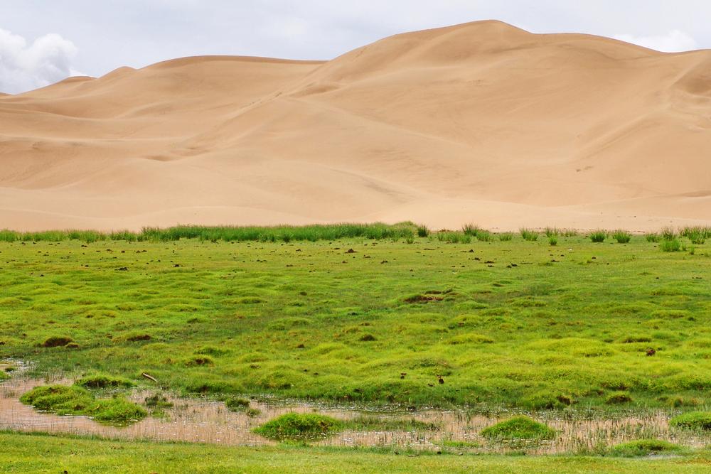 See Desert Valleys in Gobi Gurvansaikhan National Park