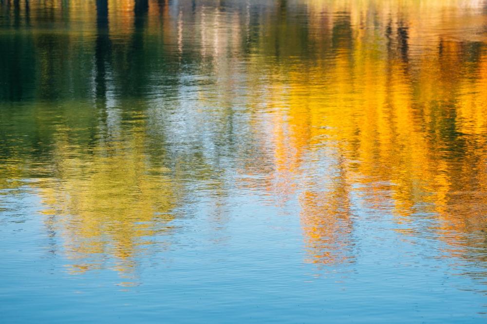 If You Crave Quiet Trails and Scenic Nature, Then Visit Ephraim Preserve at Anderson