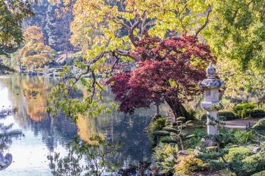 Oriental - Japanese Gardens