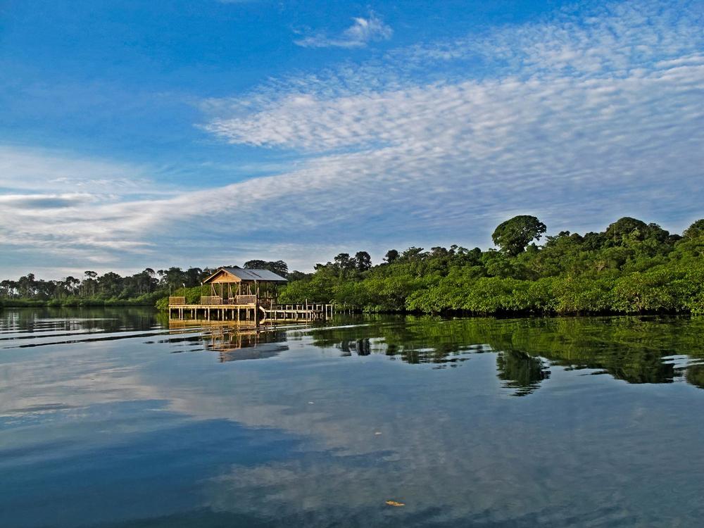 Spot Wildlife and Explore the Wild at Tranquilo Bay Eco Adventure Lodge