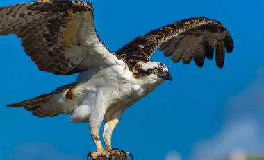 Loire-Anjou-Touraine Regional Nature Park