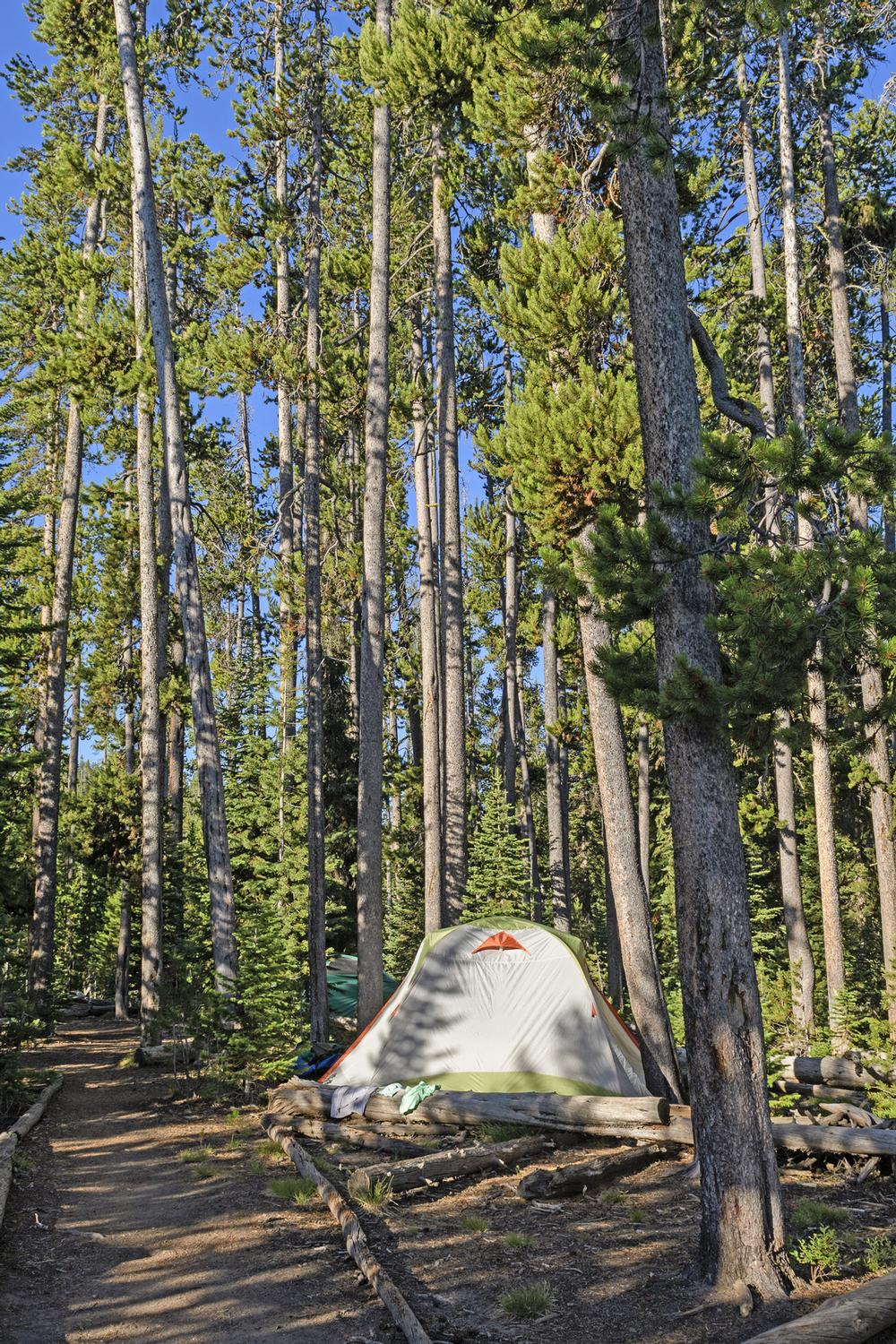 Pitch a Tent Close to the Action at Canyon Campground