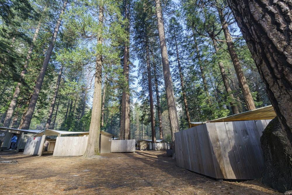 Sleep Under the Stars at Housekeeping Camp