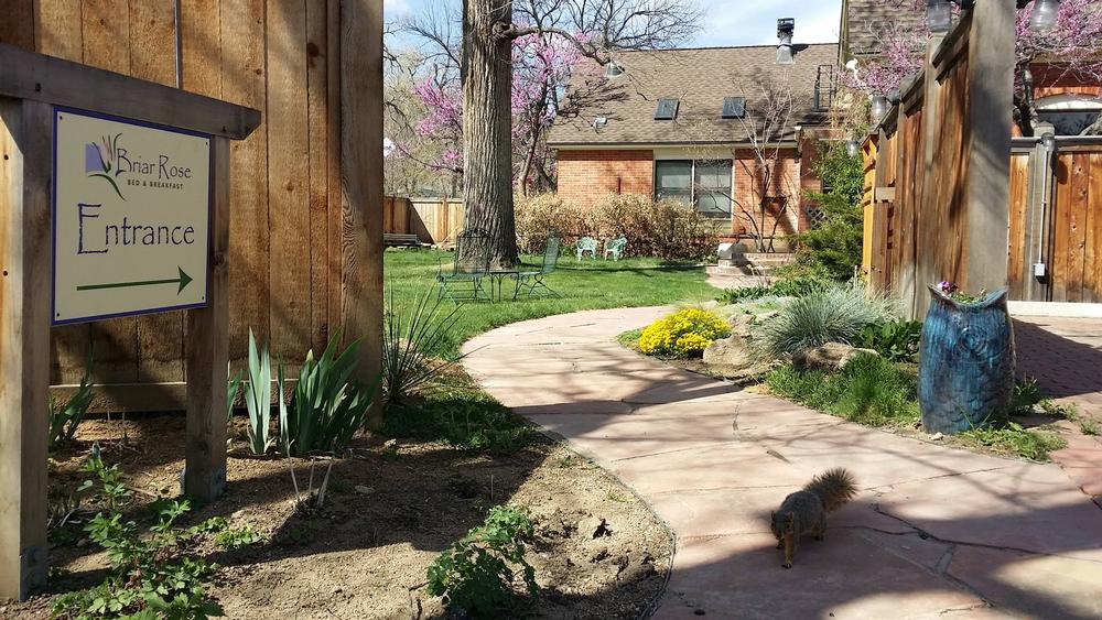 Wake Up to Warmth at Briar Rose Bed and Breakfast