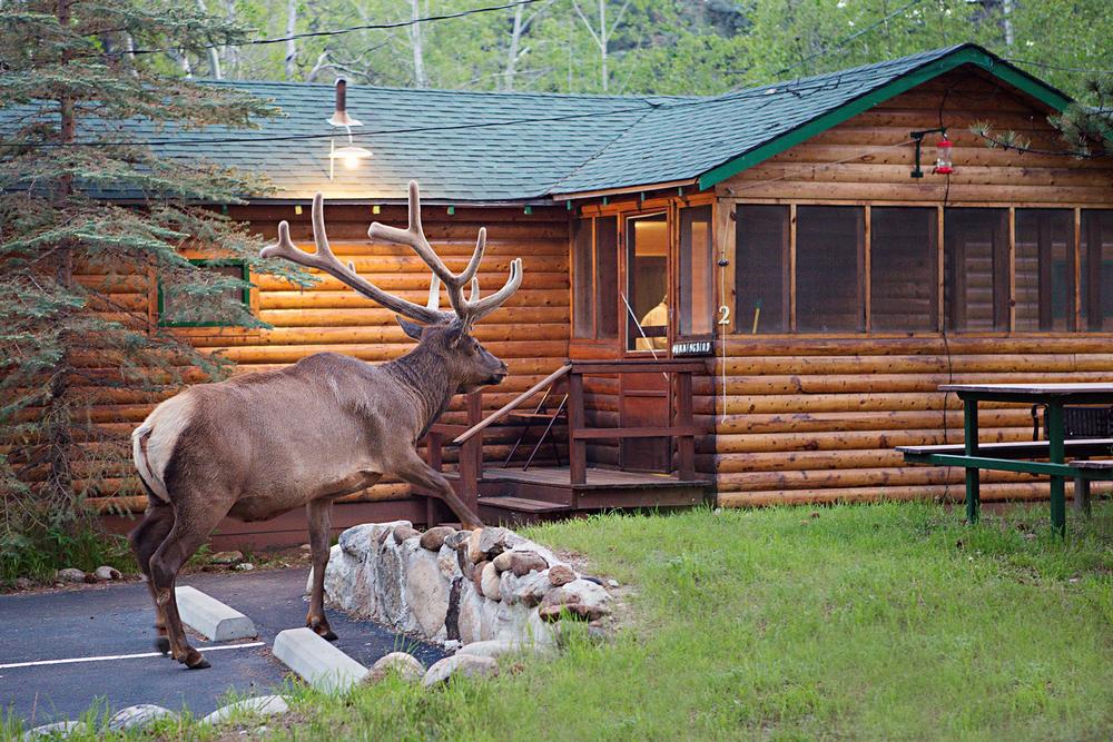 Unplug in Nature at Idlewilde by the River