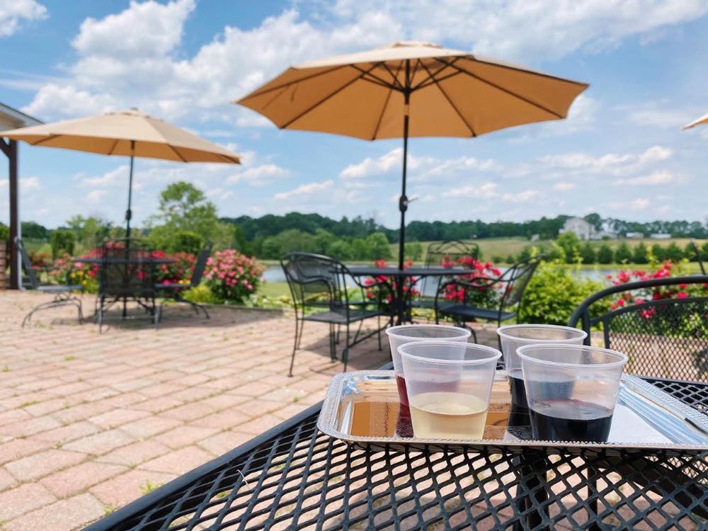 Sip With a View: If You Love Mediterranean-Style Wines, Then Visit Molon Lave Vineyards