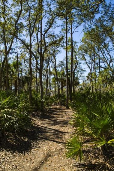 Skidaway Island State Park