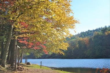 Vogel State Park