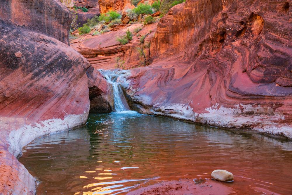 Red Cliffs Desert Reserve