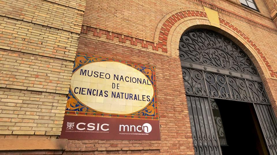 Discover Natural Wonders at the Museo Nacional de Ciencias Naturales