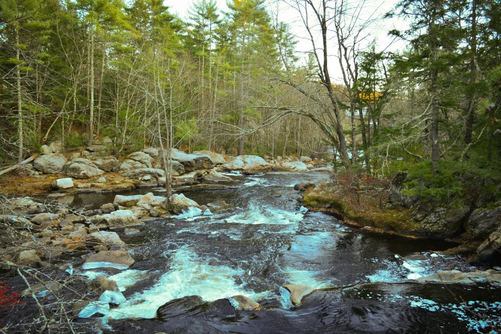 Wander the Waterfall Trails at Wildcat Falls Park and Conservation Area