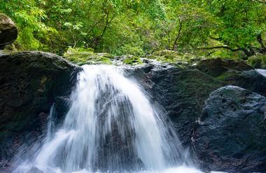 Tamarind Falls